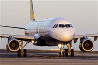 Saimon J Rodriguez   -   Canary Islands Spotting. Click to see full size photo