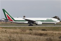 Rubn Gil - Noisy Spotters. Click to see full size photo