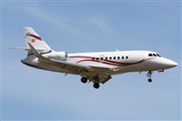Alfonso Sols - Asociacin Canary Islands Spotting. Haz click para ampliar