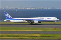 Miguel A. gueda Rguez.  (CANARY ISLANDS SPOTTING). Click to see full size photo