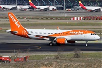 Alfonso Sols - Asociacin Canary Islands Spotting. Click to see full size photo