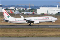 Miguel A. gueda Rguez.  (CANARY ISLANDS SPOTTING). Click to see full size photo