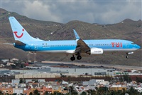 ©Adolfo Bento - Gran Canaria Spotters. Click to see full size photo ©Adolfo Bento - Gran Canaria Spotters. Click to see full size photo
