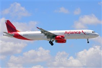 Miguel A. gueda Rguez.  (CANARY ISLANDS SPOTTING). Click to see full size photo