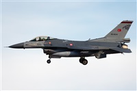 Florencio Martn Melin - Lanzarote Spotters. Click to see full size photo