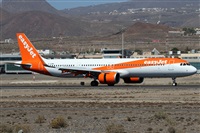 ©Alfonso Solís - Asociación Canary Islands Spotting. Click to see full size photo ©Alfonso Solís - Asociación Canary Islands Spotting. Click to see full size photo