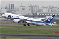 Rubn Gil - Noisy Spotters. Click to see full size photo