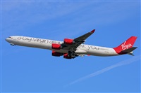 Miguel A. gueda Rguez.  (CANARY ISLANDS SPOTTING). Click to see full size photo