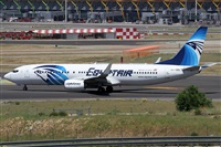 ©Alfonso Solís - Asociación Canary Islands Spotting. Click to see full size photo ©Alfonso Solís - Asociación Canary Islands Spotting. Click to see full size photo