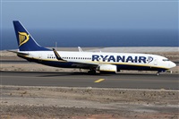 Alfonso Sols - Asociacin Canary Islands Spotting. Click to see full size photo