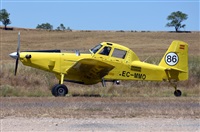 Josep Oll. Click to see full size photo