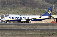 Alfonso Sols - Asociacin Canary Islands Spotting. Click to see full size photo