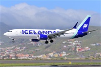 Miguel A. gueda Rguez.  (CANARY ISLANDS SPOTTING). Click to see full size photo