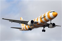 Adrin Alonso Lemes - Lanzarote Spotters. Haz click para ampliar