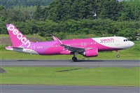 Miguel A. gueda Rguez.  (CANARY ISLANDS SPOTTING). Click to see full size photo