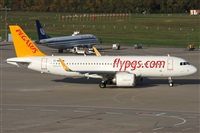 Daniel Schwinn. Click to see full size photo