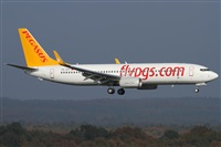 Daniel Schwinn. Click to see full size photo