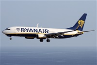 Alfonso Sols - Asociacin Canary Islands Spotting. Click to see full size photo