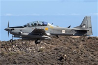 Adolfo Bento - Gran Canaria Spotters. Click to see full size photo