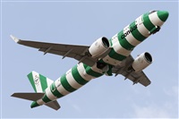 �Florencio Mart�n Meli�n - Lanzarote Spotters. Click to see full size photo