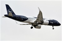 �Pedro M. Moreno. Click to see full size photo