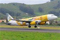 �Miguel A. �gueda Rguez.  (CANARY ISLANDS SPOTTING). Click to see full size photo