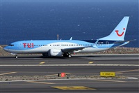 �Alfonso Sol�s - Asociaci�n Canary Islands Spotting. Click to see full size photo