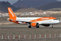 �Alfonso Sol�s - Asociaci�n Canary Islands Spotting. Click to see full size photo