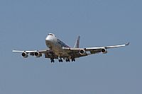 Jos Miguel Bernases - Noisy Spotters. Click to see full size photo