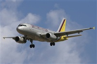 Jos Miguel Bernases - Noisy Spotters. Click to see full size photo