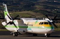 Javier de la Cruz - CANARY ISLANDS SPOTTING. Haz click para ampliar