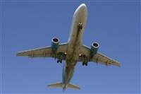 Jos Miguel Bernases - Noisy Spotters. Click to see full size photo