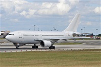 Carlos Moreira  *  PortugalSpotters.org. Click to see full size photo