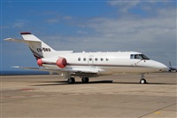 ©Javier de la Cruz - CANARY ISLANDS SPOTTING. Click to see full size photo ©Javier de la Cruz - CANARY ISLANDS SPOTTING. Click to see full size photo