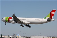 Rodrigo Carvalho - Noisy Spotters. Click to see full size photo