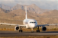 Javier de la Cruz - CANARY ISLANDS SPOTTING. Click to see full size photo