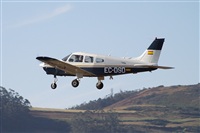 Alfonso Sols - Asociacin Canary Islands Spotting. Haz click para ampliar