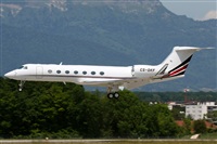 Rodrigo Carvalho - Noisy Spotters. Click to see full size photo