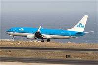 Javier de la Cruz - CANARY ISLANDS SPOTTING. Haz click para ampliar
