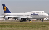 Rubn Gil - Noisy Spotters. Click to see full size photo