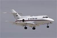 Alfonso Sols - Asociacin Canary Islands Spotting. Click to see full size photo