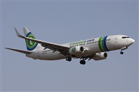 ©Alfonso Solís - Asociación Canary Islands Spotting. Click to see full size photo ©Alfonso Solís - Asociación Canary Islands Spotting. Click to see full size photo