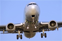 ©JF©MAYORAL - Arispotters.Org / Aire.Org. Click to see full size photo ©JF©MAYORAL - Arispotters.Org / Aire.Org. Click to see full size photo