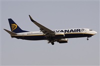 ©Alfonso Solís - Asociación Canary Islands Spotting. Click to see full size photo ©Alfonso Solís - Asociación Canary Islands Spotting. Click to see full size photo
