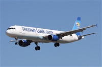 ©Alfonso Solís - Asociación Canary Islands Spotting. Click to see full size photo ©Alfonso Solís - Asociación Canary Islands Spotting. Click to see full size photo