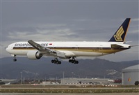 Jos Miguel Bernases - Noisy Spotters. Click to see full size photo