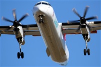 Rodrigo Carvalho - Noisy Spotters. Click to see full size photo