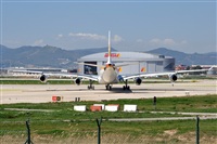 Rubn C.. Click to see full size photo