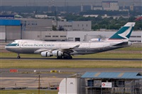 Javier de la Cruz - CANARY ISLANDS SPOTTING. Click to see full size photo