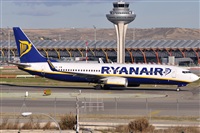 Rubn Gil - Noisy Spotters. Click to see full size photo